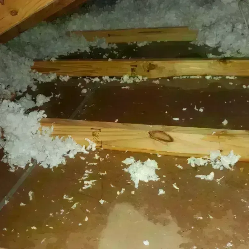 Attic Water Damage in Rock Creek, AL