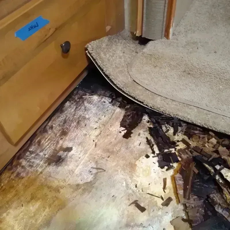 Best Wood Floor Water Damage Service in Rock Creek, AL